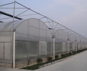 連棟薄膜溫室