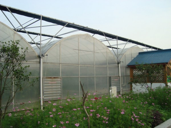 溫室大棚工程